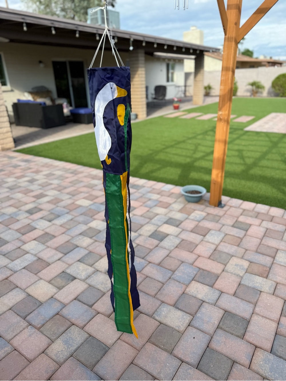 Windsock - Picture 3 of 7